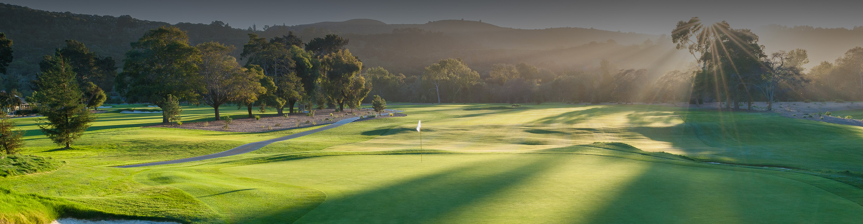 a golf course with trees