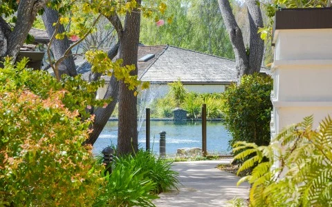 a path with trees and a body of water in the background